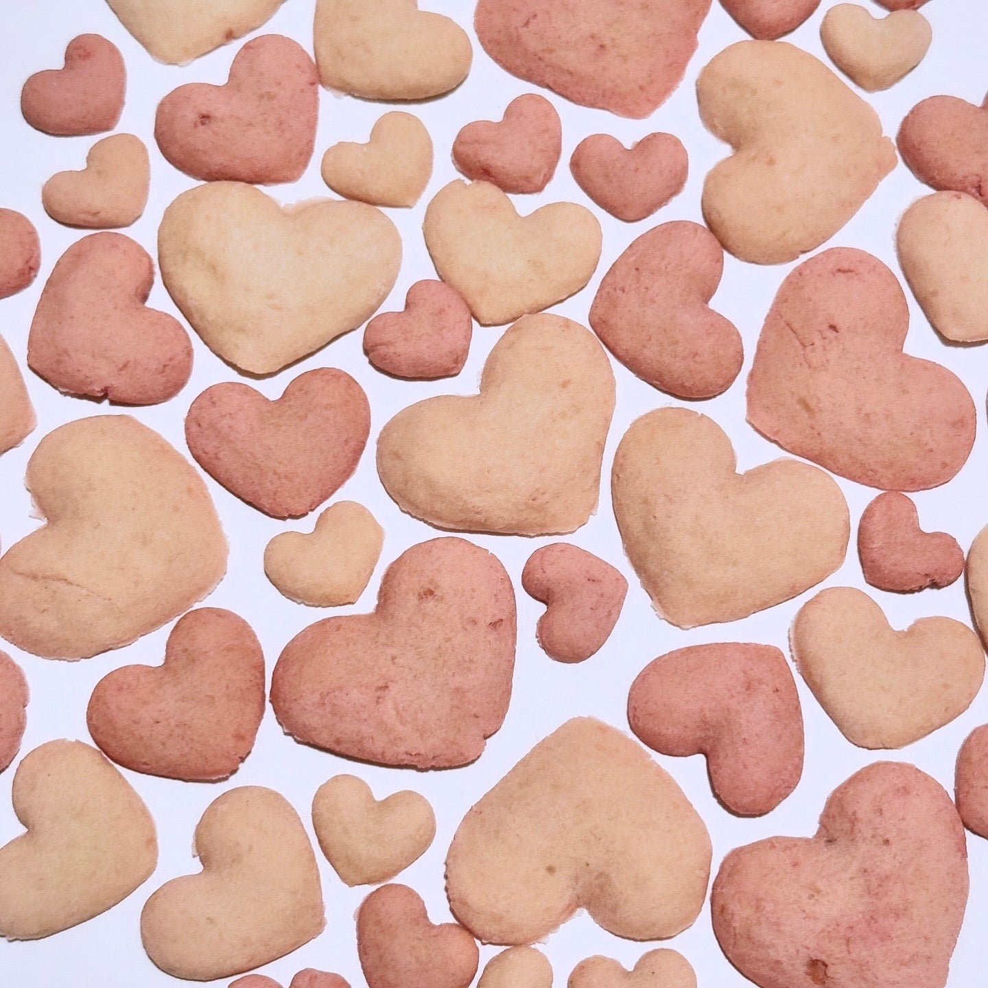 Mini Heart Shape Treats | Chicken Meat | Dogs and Cats friendly