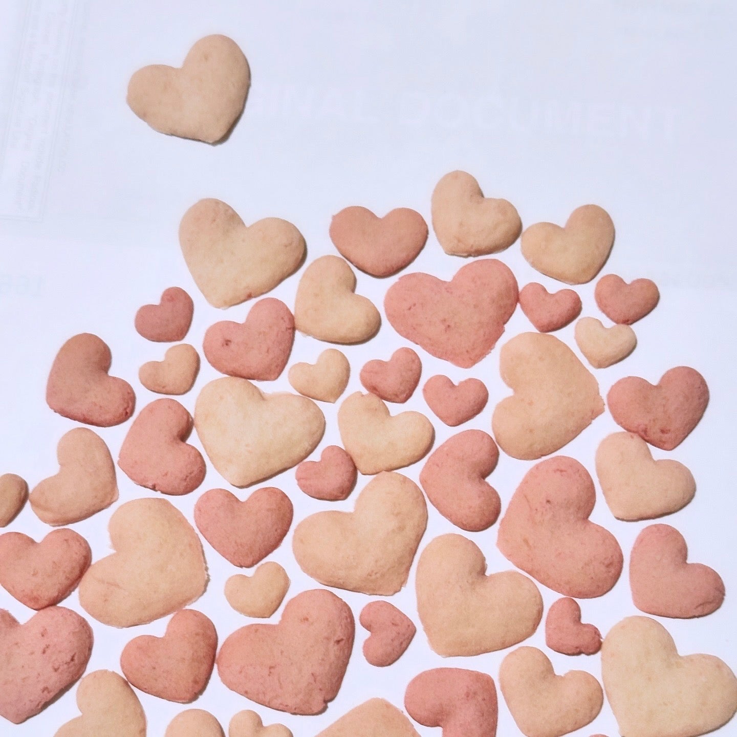 Mini Heart Shape Treats | Chicken Meat | Dogs and Cats friendly