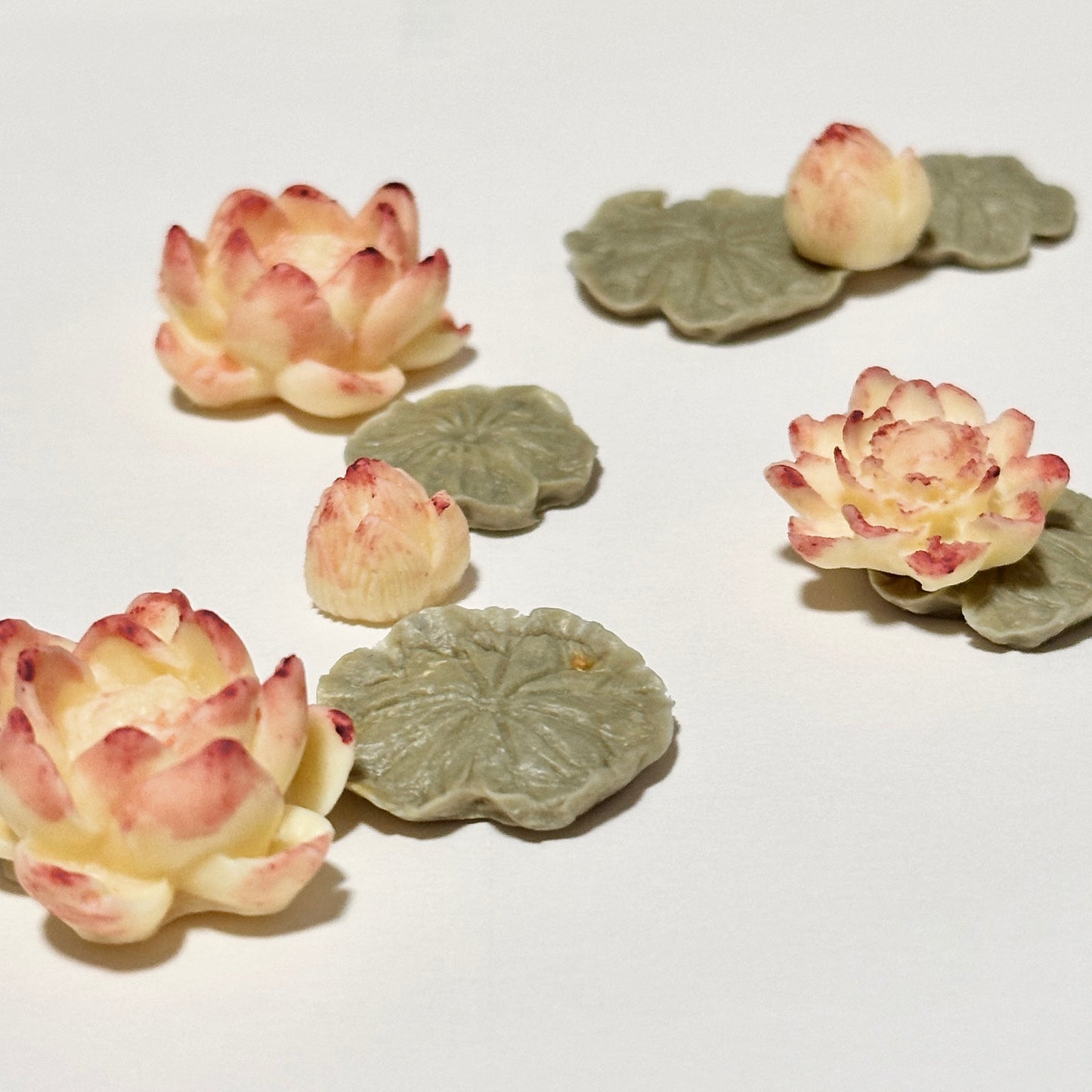 🪷Lotus Treats | Summer Flower Blossom | Themed Treats