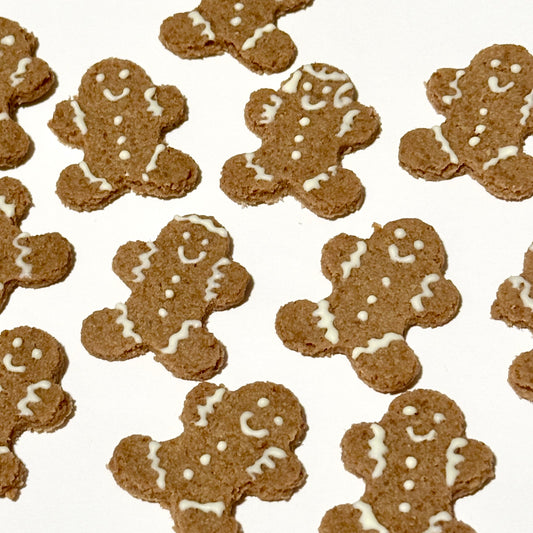 Gingerbread Man Cookies | No Grain | For Both Dogs and Cats | Turkey | 6pcs