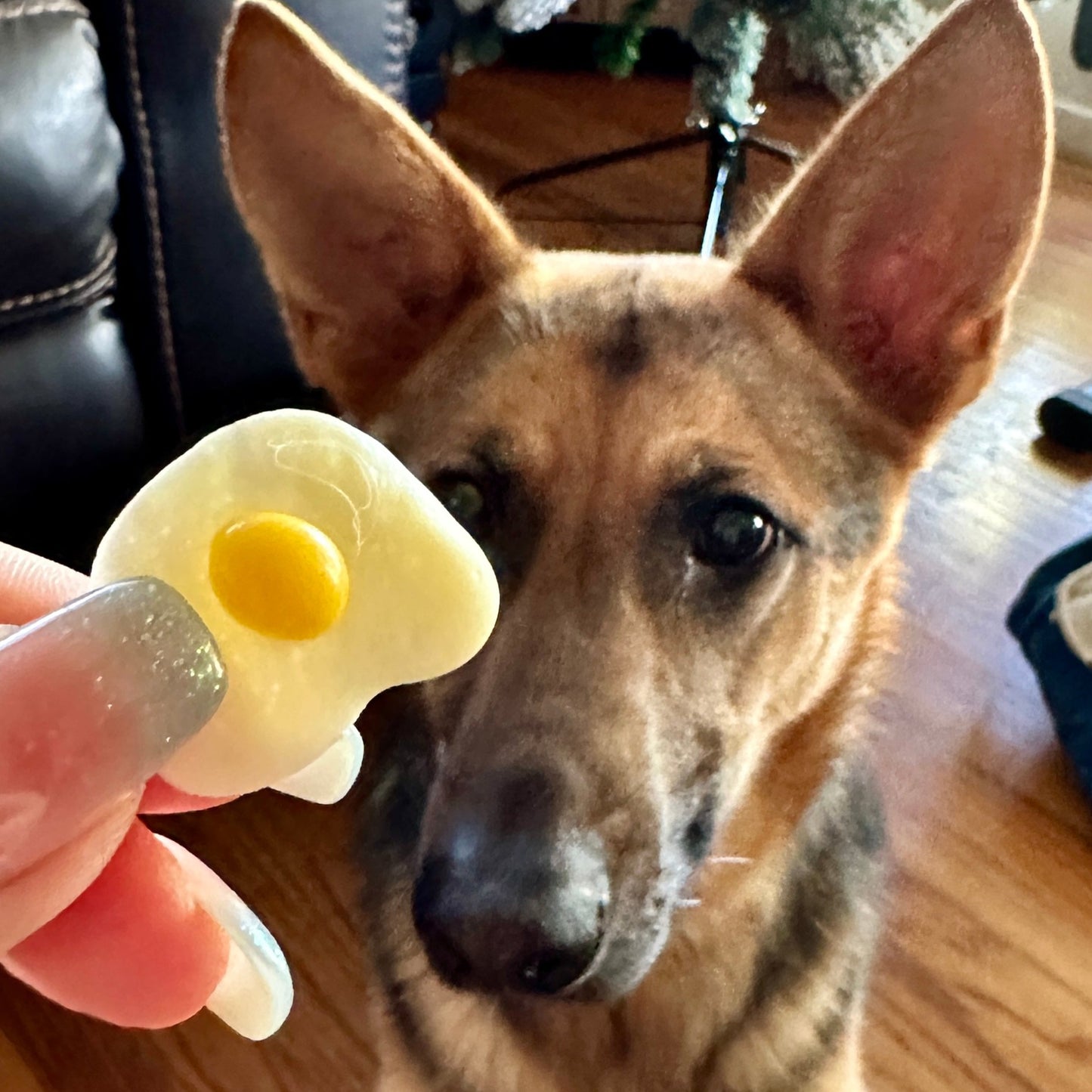 Mini Sunny-Side-Up Eggs, Healthy Dog/Cat Treats (toppers, trainings, enrichment, lick-mat)