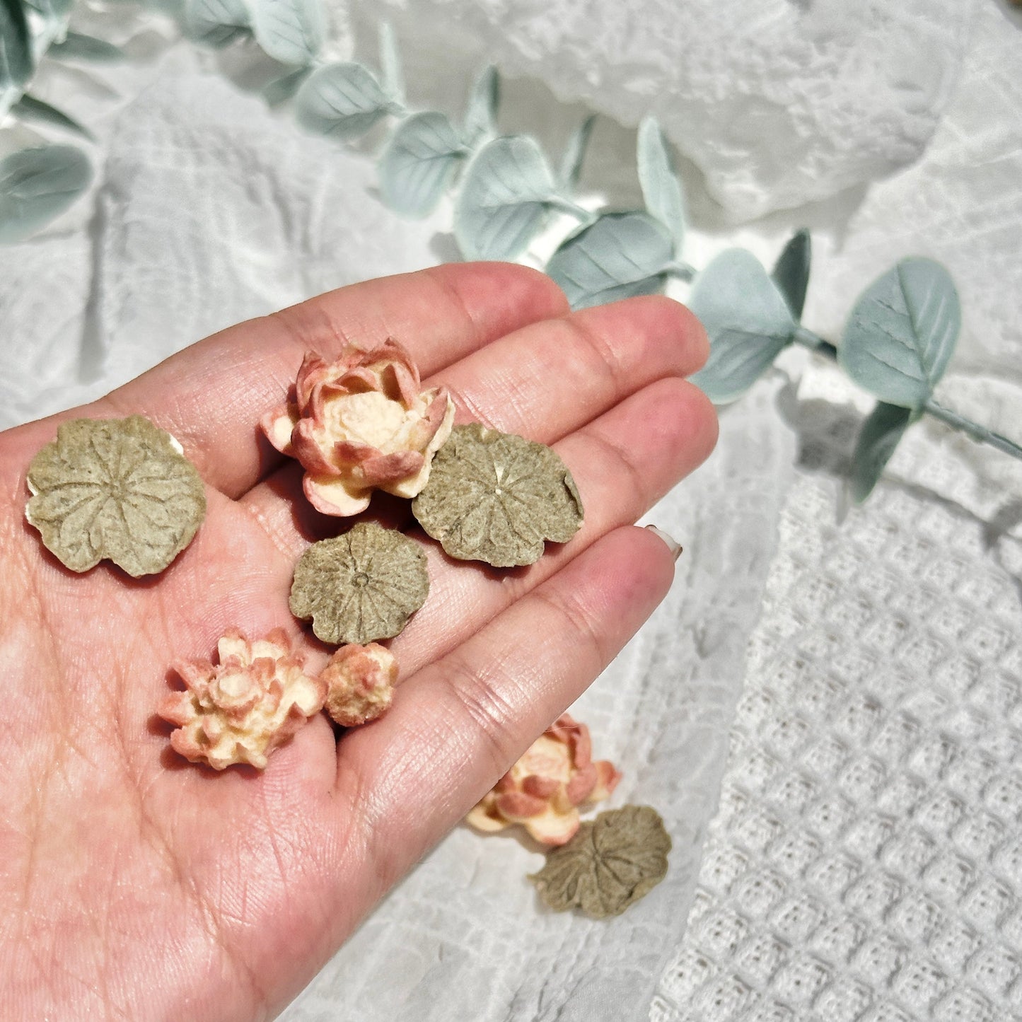 🪷Lotus Treats | Summer Flower Blossom | Themed Treats